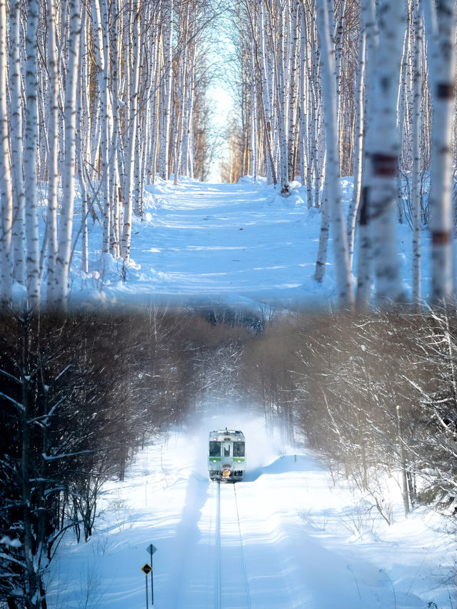 躺著穿越！開往冬天的火車9天8晚，住進移動的雪國宮殿