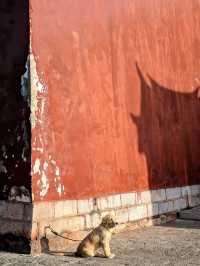 初冬建水古城遊玩攻略｜暖陽映古建，解鎖慢節奏滇南煙火