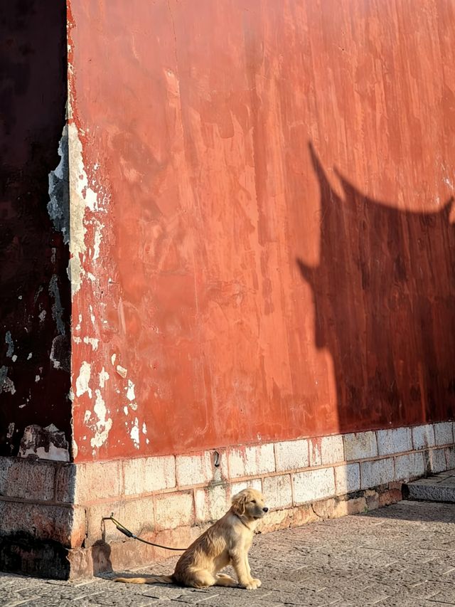 初冬建水古城遊玩攻略｜暖陽映古建，解鎖慢節奏滇南煙火