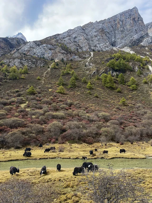 稻城亞丁的秋天，是上帝打翻的調色盤！