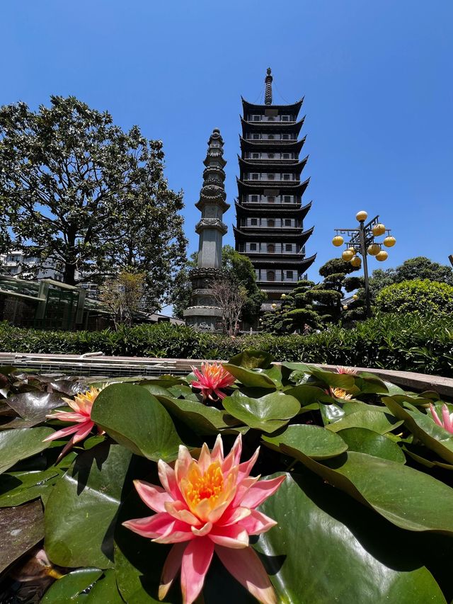 上海隱世古寺|700年真如寺,藏著都市裡的慢時光 上海隱世古寺|700年真如寺,藏著都市裡的慢時光