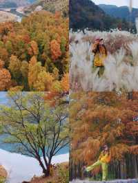 寧波徒步爬山|水杉-蘆葦蕩秋天王炸組合路線