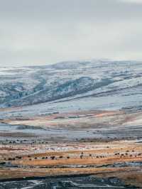 自駕川西|一場大雪,川西有了冬日氛圍