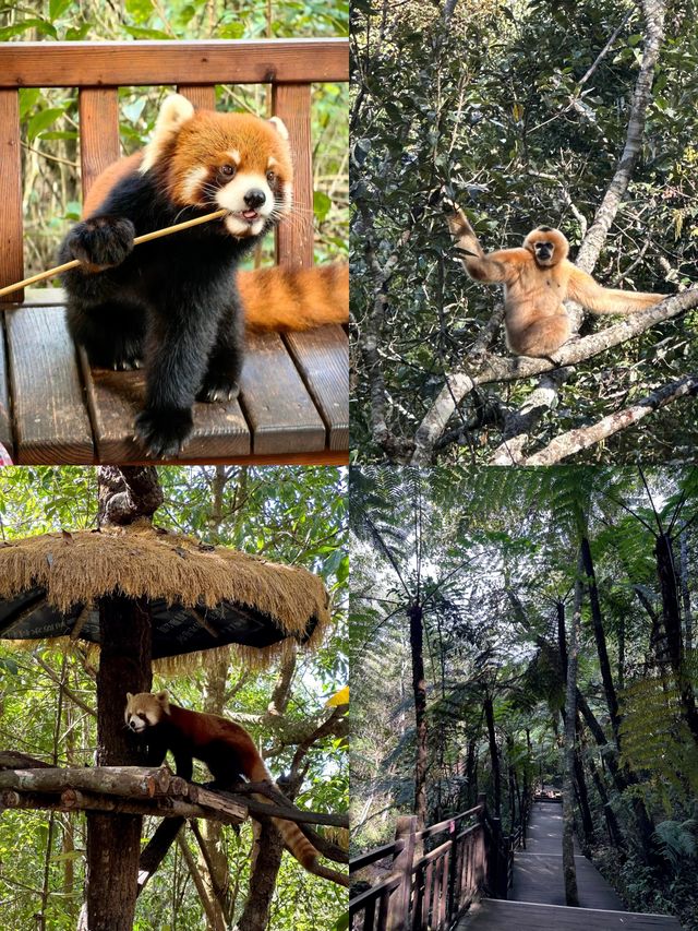 在普洱遇見了慢時光|三天兩夜文藝趴體指南 在普洱遇見了慢時光|三天兩夜文藝趴體指南