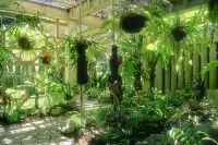 廈門植物園 | 像植物一樣呼吸