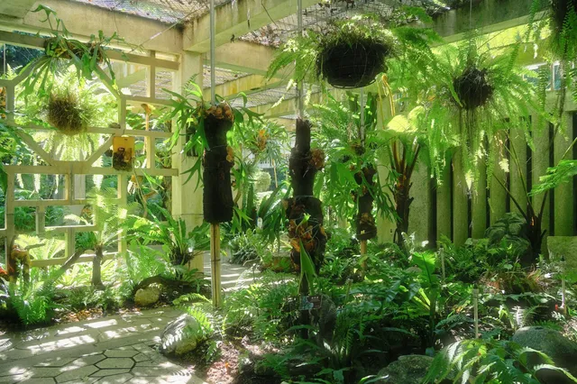 廈門植物園 | 像植物一樣呼吸