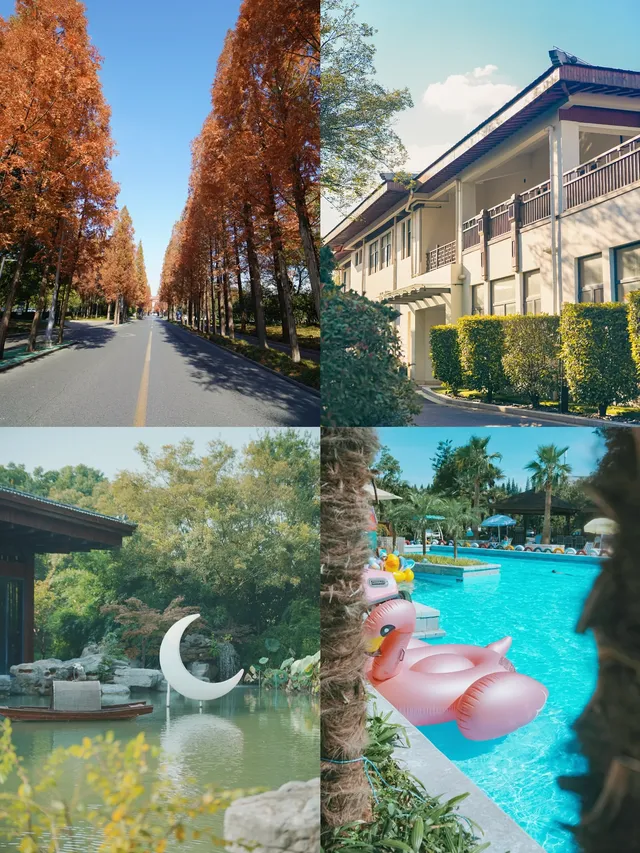 帶父母出遊,這裡成了他們的“誇誇群” 帶父母出遊,這裡成了他們的“誇誇群”