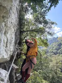 雨林裡的攀岩,又刺激又好玩~