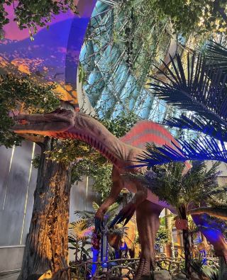 帶你玩轉「伏牛山心·恐龍之鄉·仲景故里」！河南西峽1日遊 清晨7:20，從南陽東站乘G7971次高