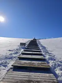 自駕玉龍雪山 牦牛坪藍月谷冰川公園攻略