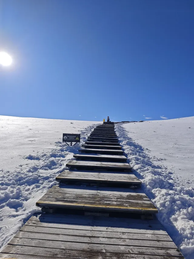 自駕玉龍雪山 牦牛坪藍月谷冰川公園攻略