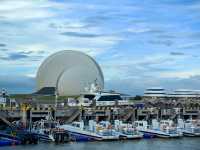 貝殼奇觀打卡必去