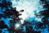 神農谷底實拍‖走進仙境裡了