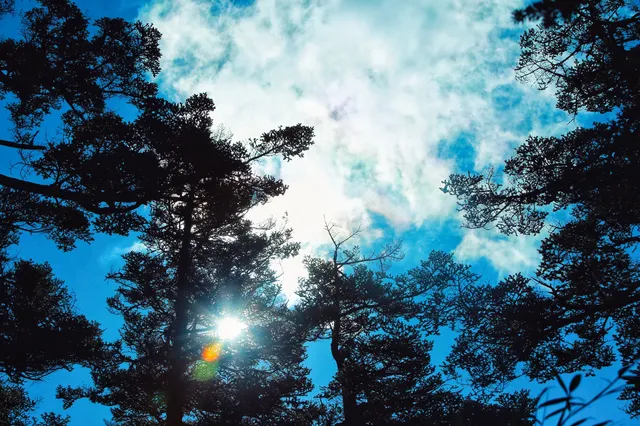 神農谷底實拍‖走進仙境裡了 神農谷底實拍‖走進仙境裡了