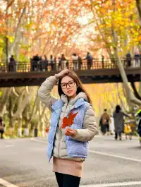 中山陵拍照機位