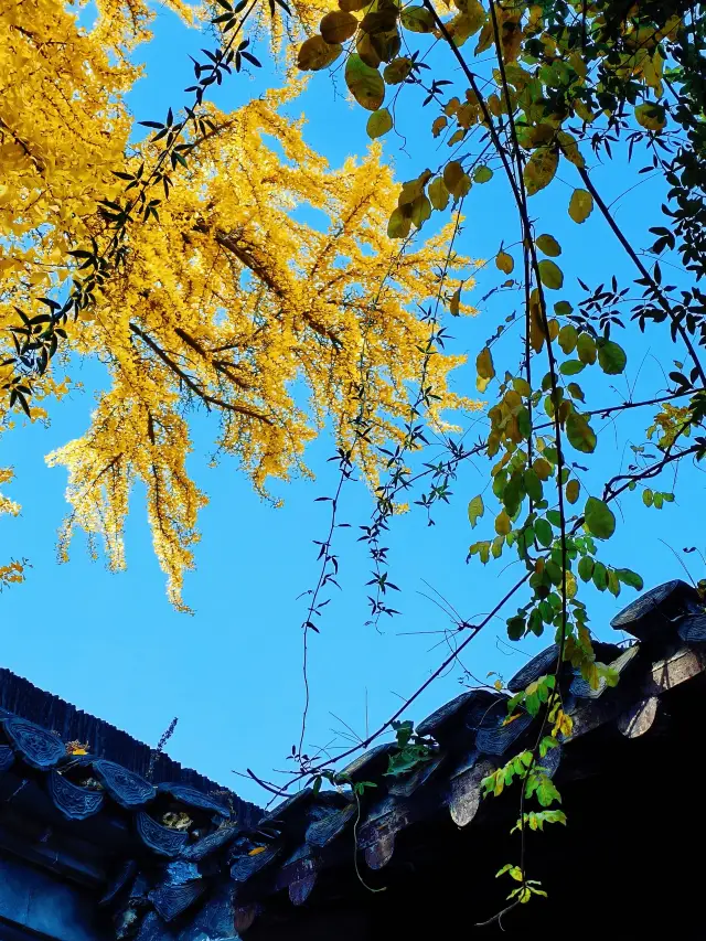 48h Roaming Yangzhou, Half History and Half Autumn Waters and Sky
