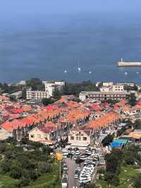 青島1天遊|冬天來這兒簡直絕配