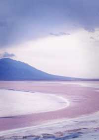 七彩鹽湖與雪山輝映的絕美景觀