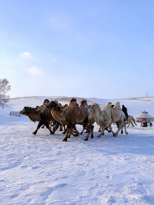 冬日烏蘭布統冰雪攻略 冬日烏蘭布統冰雪攻略
