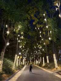 打卡義烏最美夜景雞鳴閣