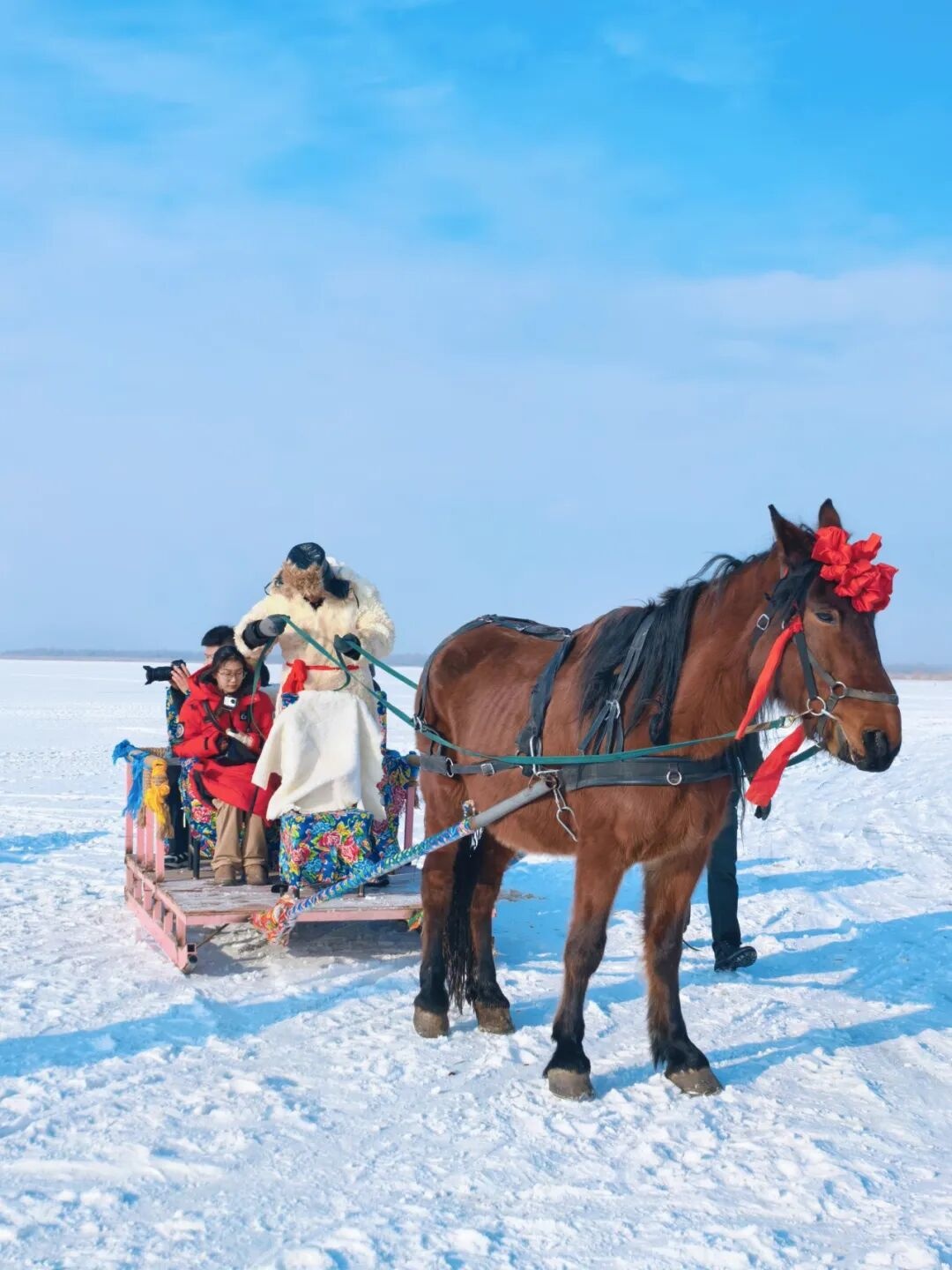 Hohhot Ice and Snow Park Opens