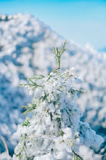 ภูเขาหยุนปิงถ่ายภาพจริง