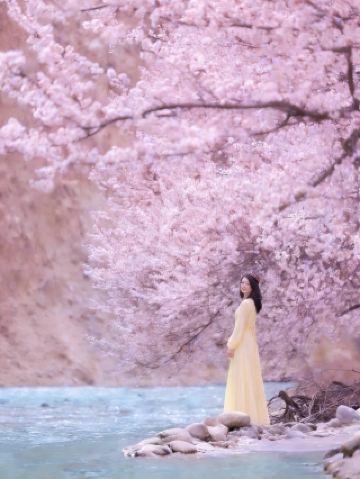 ฤดูใบไม้ผลิในเทือกเขาปาเมียร์ | ความโรแมนติกที่อบอวลอยู่ในดอกแอปริคอตแห่งซินเจียงตอนใต้