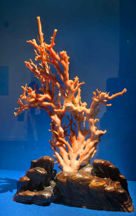 花月醉雕鞍 - 大唐金郷県主展」 | Trip.com 深セン