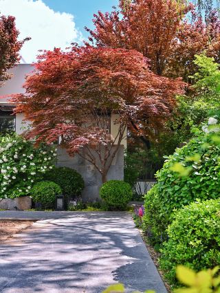 Enjoy an elegant banquet in the garden courtyard.