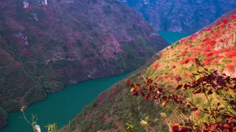 Zigui All-Around Travel and Accommodation - Moshan Light Luxury Residence — traveler post in Zigui
