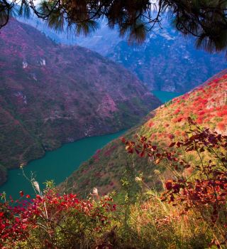 Zigui All-Around Travel and Accommodation - Moshan Light Luxury Residence