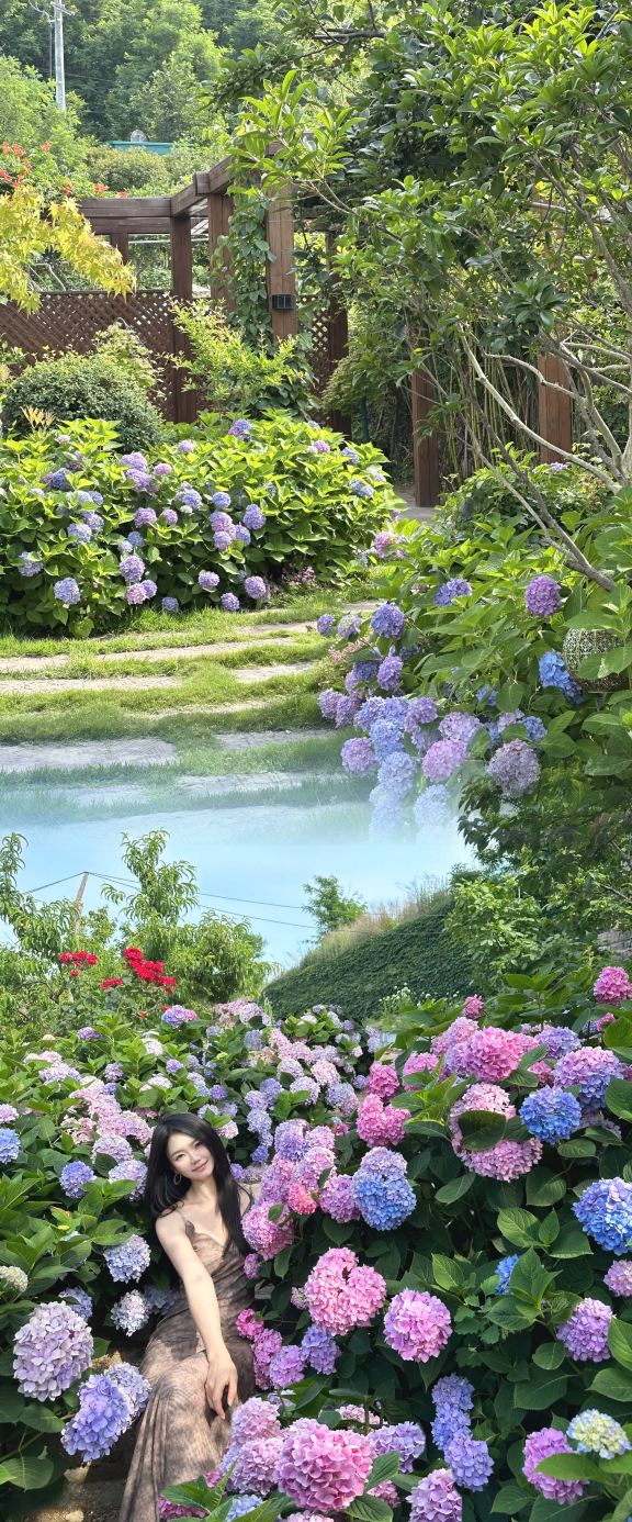 伊勢崎市　塩青　掛花入 青島嶗山の封神民宿、花海＋滝が美しすぎて息をのむ | Trip.com 青島