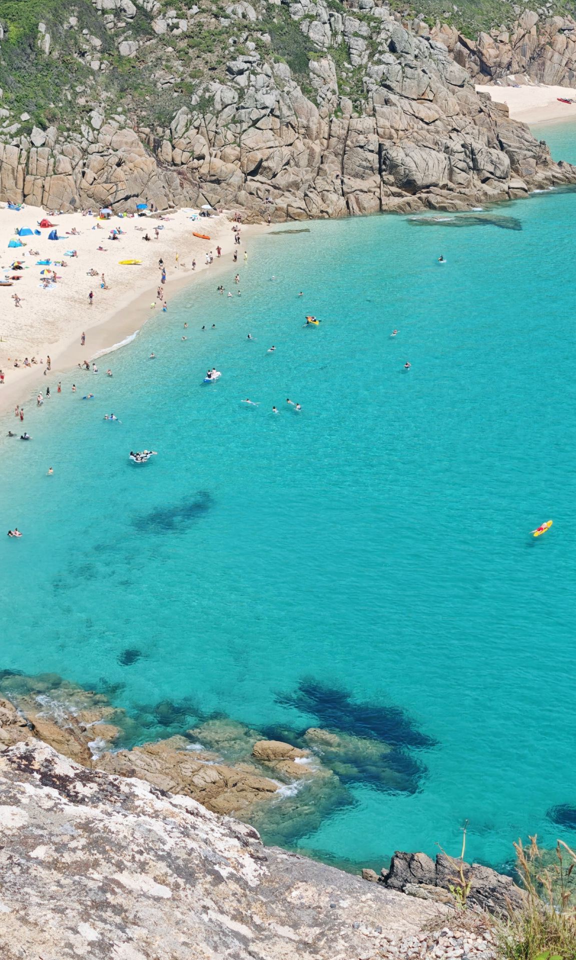 Cornwall Jelly Sea Nanny-Level One-Day Tour Guide
