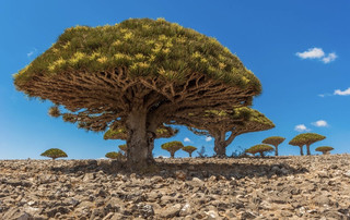 "6 Places on Earth That Look Most Like 'Alien Planets'—You'll Realize How Magical Earth Truly Is After Seeing Them"