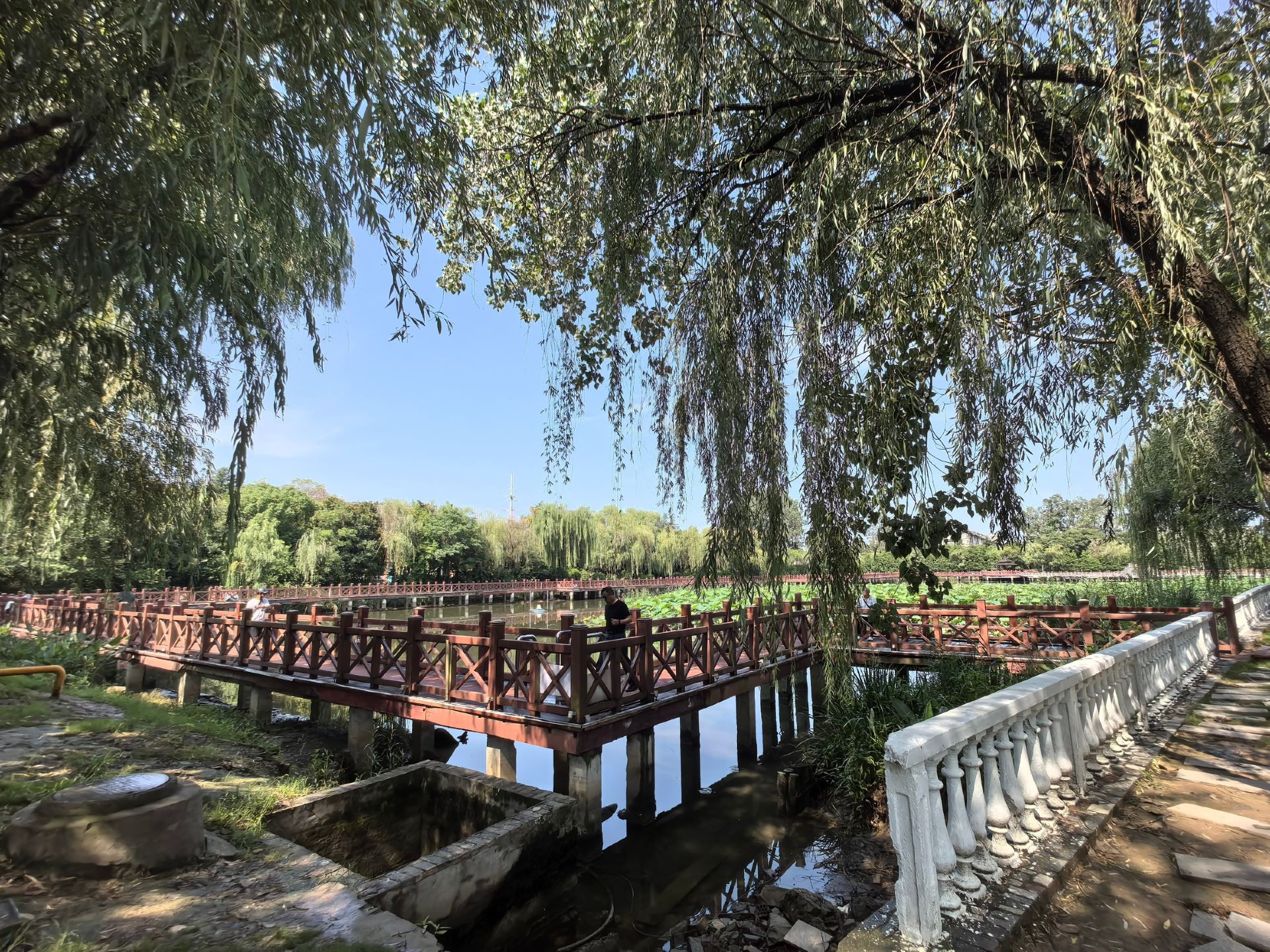 濱海公園  地址：鹽城市濱海縣海濱大道28號  亮點：濱海縣首座綜合性城市公園、新時代文明實踐主題公