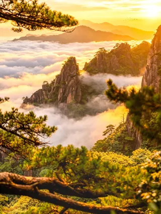 黃山景 黄山風景区観光ガイド2026年：人気スポット、グルメ、ホテル、天気など