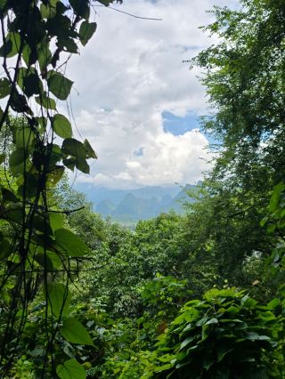 Ready for an adventure? Yangshuo is calling — and Laozhai Mountain Park is the star of the show 🌄🔥 If you love epic views and a taste of outdoor challenge, put this on your China bucket list!
Must-See Place: Laozhai Mountain Park
📍 Xingpingzhen, Yangshuo, Guilin, Guan#xingpingancienttown gxi, China
🕗 Open: 24/7, year round!
This is the spot for insane panoramic shots of the Li River winding through dramatic karst peaks. The climb up Laozhai Mountain isn’t just a walk in the park: there are hundreds of steps and it’s steeper than you might expect. It looks simple from below, but be ready to break a sweat — take it slow, bring water, and double-check your shoes grip well (seriously!). The sunset or sunrise here will blow your mind — and your phone storage with all the photos you’ll take.
Tip: The stairs can get slippery if it’s been raining, so plan for early morning or a dry afternoon. Don’t rush — the view is worth every step and there are plenty of spots to catch your breath and snap that perfect picture.
Getting There & Around:
From Yangshuo, hop on a local bus towards Xingping, then walk about 10 minutes from the bus stop to the foot of the mountain park. Scooters are popular, but take care on windy roads.
Hungry? After the hike, check out a riverside café in Xingping for local Guilin noodle soup — comforting and well-earned.
Bring cash as some little shops or stalls don’t take cards. Weather can flip fast; pack a lightweight poncho just in case.
#YangshuoHikes #ChinaViews #AdventureAsia #LaozhaiMountain #Tripcom