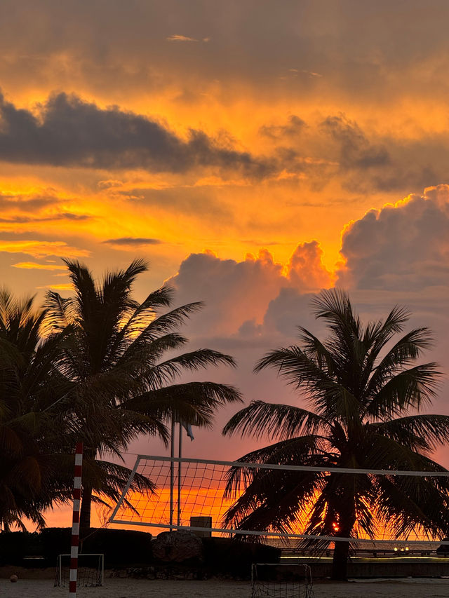 An Unforgettable Vacation