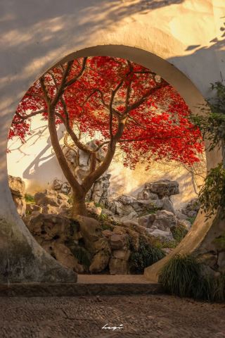 Suzhou will be the ultimate autumn travel destination over the next few months!