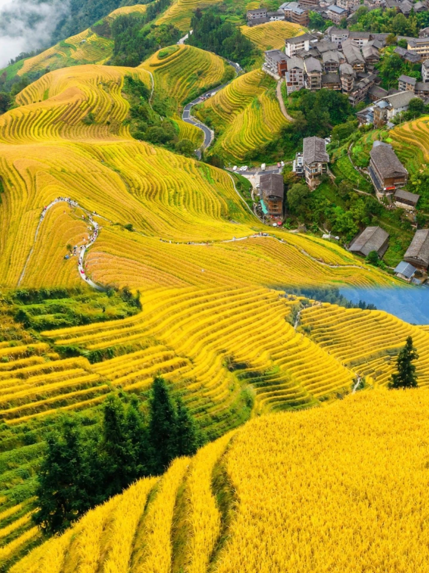 I almost gave up on the Longji Rice Terraces, but this place is amazing