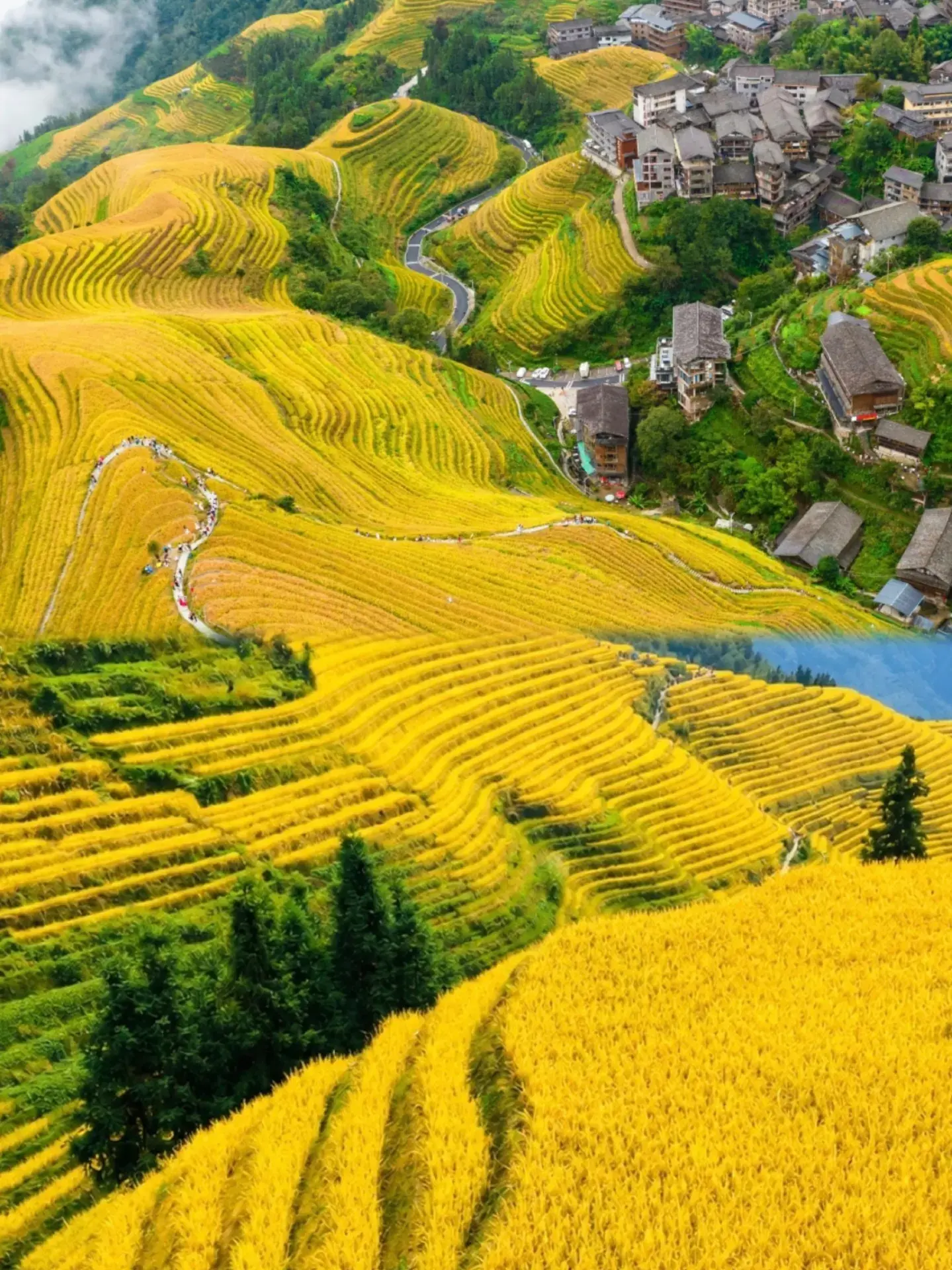 I almost gave up on the Longji Rice Terraces, but this place is amazing