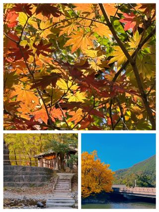 Guanmenshan in Fall: The "Little Huangshan" That Earned Its Nickname