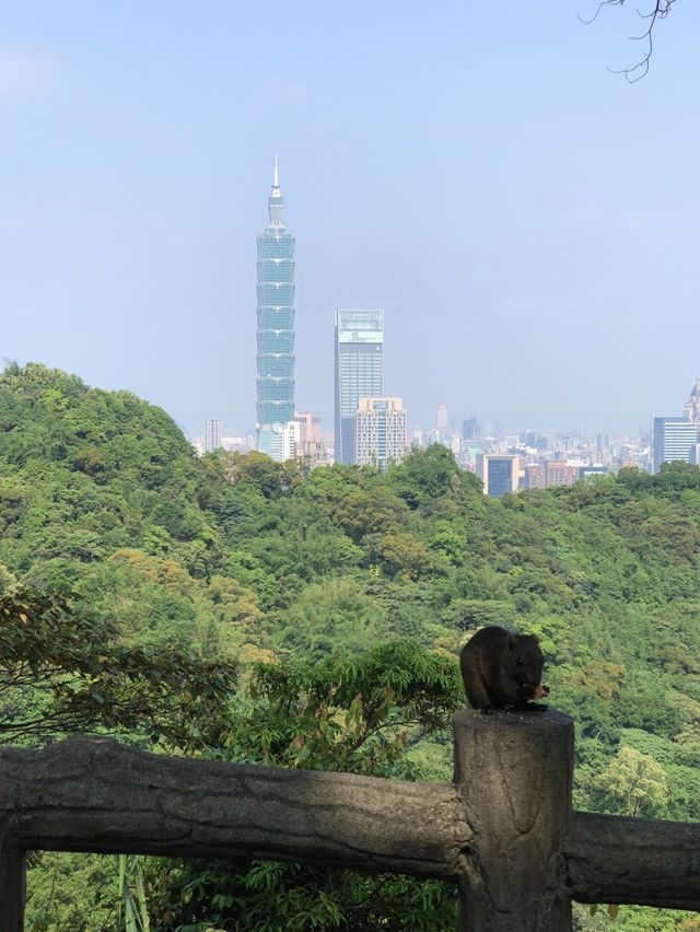 Tiger-Mountain in TAIPEI ⛰️