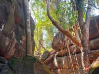 อุทยานแห่งชาติภูพาน