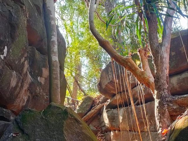 อุทยานแห่งชาติภูพาน