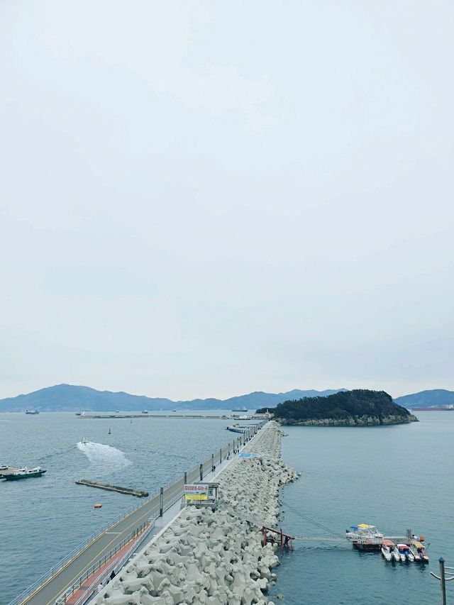 동백섬 오동도 💐