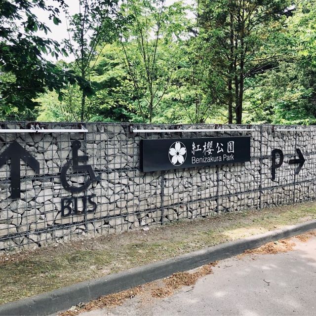 Banizakura park