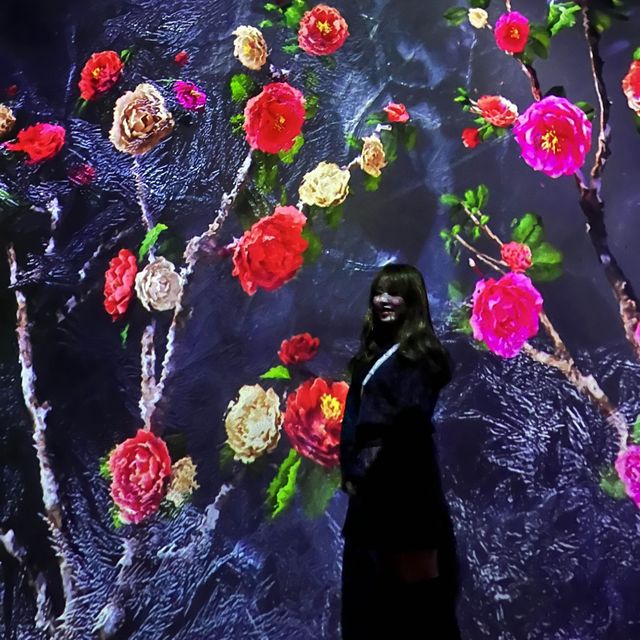 빛과 조명의 아름다운 조화✨제주 실내데이트, 아르떼 뮤지엄