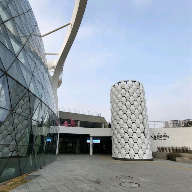 5천원 가성비 데이트코스 : 상쾌한 초록이천국 ☆서울식물원☆ 