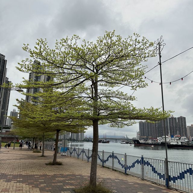 荃灣海濱公園～癲噹碼頭